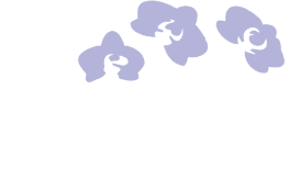 Kirk Brandow Comsetic Surgery