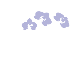 Kirk Brandow Cosmetic Surgery