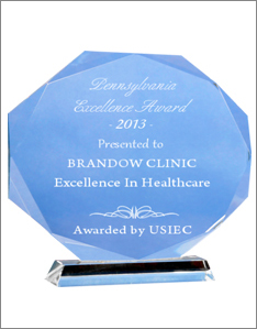 USIEC Pennsylvania Excellence Award – 2013